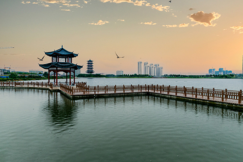 葛店经开区助力绿色武汉都市圈建设四步并行打造绿色生态屏障